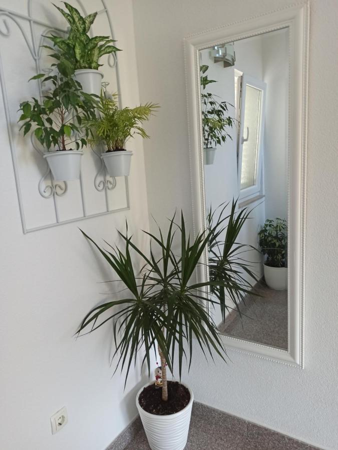 Apartament Mg Ravlic Sea View Makarska